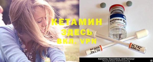крисы Корсаков