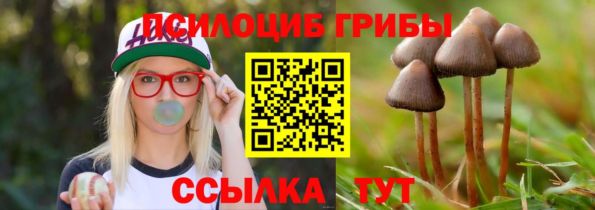 Псилоцибиновые грибы прущие грибы Архангельск